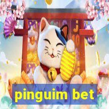 pinguim bet